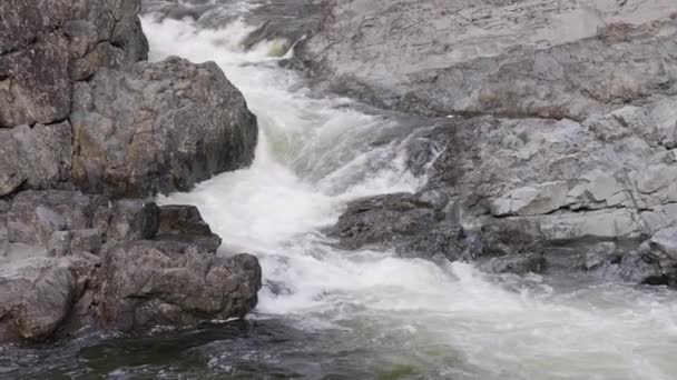 Rocce Lungo Fiume Nel Paesaggio Naturale Canadese Isola Vancouver Canada — Video Stock