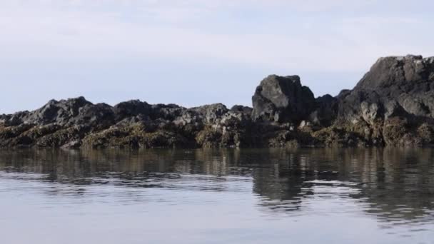 Pasifik Okyanusu Kıyısındaki Rocky Shore Ucluelet Vancouver Adası Kanada Doğa — Stok video