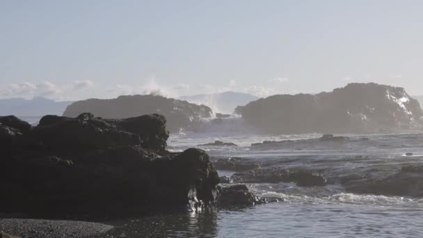 Pasifik Okyanusu Kıyısında Rocky Shore Çarpan Dalgalar Güneşli Günbatımı Botanik — Stok video