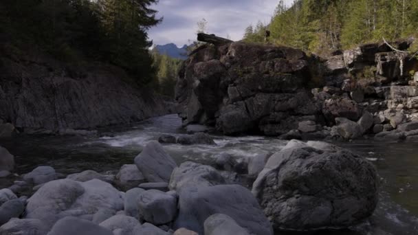 Rocas Junto Río Paisaje Natural Canadiense Vancouver Island Canadá Moción — Vídeo de stock