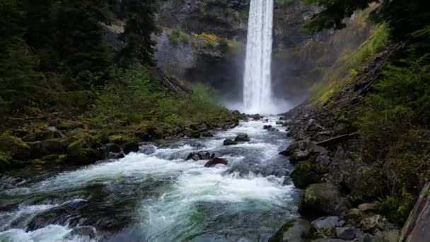 Cachoeira Rio Árvores Verdes Paisagem Natural Canadense Whistler British Columbia — Vídeo de Stock