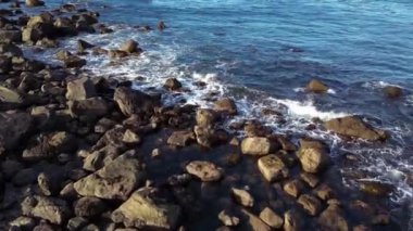 Pasifik Okyanusu kıyısındaki Rocky Shore. Güneşli bir gün. Vancouver Adası, BC, Kanada. Doğa Arkaplanı
