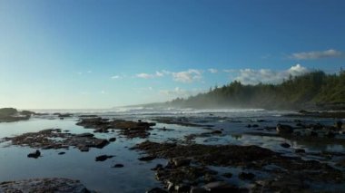 Pasifik Okyanusu kıyısındaki Rocky Shore. Güneşli Günbatımı. Vancouver Adası, BC, Kanada. Doğa Arkaplanı