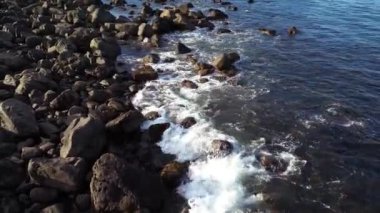 Pasifik Okyanusu kıyısındaki Rocky Shore. Güneşli bir gün. Vancouver Adası, BC, Kanada. Doğa Arkaplanı