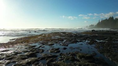 Pasifik Okyanusu kıyısındaki Rocky Shore. Güneşli Günbatımı. Vancouver Adası, BC, Kanada. Doğa Arkaplanı. 4k Sinematik