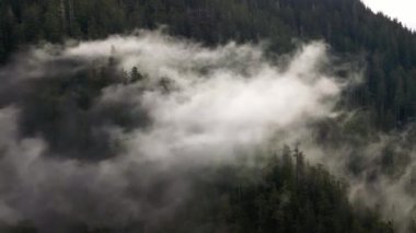 Kanada Dağ Manzarası Bulutlarla kaplı. Hava Doğası Arkaplanı. Vancouver Adası, BC, Kanada.