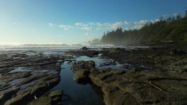 Pasifik Okyanusu kıyısındaki Rocky Shore. Güneşli Günbatımı. Vancouver Adası, BC, Kanada. Doğa Arkaplanı. 4k Sinematik