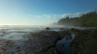 Pasifik Okyanusu kıyısındaki Rocky Shore. Güneşli Günbatımı. Vancouver Adası, BC, Kanada. Doğa Arkaplanı. 4k Sinematik