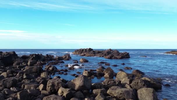 Skaliste Wybrzeże Wybrzeżu Oceanu Spokojnego Słoneczny Dzień Wyspa Vancouver Kanada — Wideo stockowe