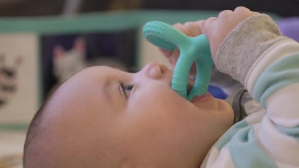 Bayi Laki Laki Menggemaskan Mengunyah Pada Gigi Mainan Rumah Livingroom — Stok Video