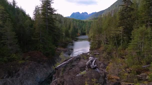 Colorido Amanecer Sobre Paisaje Montañoso Canadiense Árboles Río Vancouver Island — Vídeo de stock