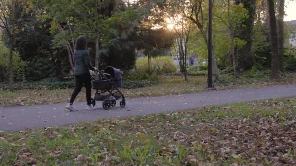 Madre Caucásica Caminando Con Cochecito Parque Burnaby Vancouver Canadá Cámara — Vídeo de stock