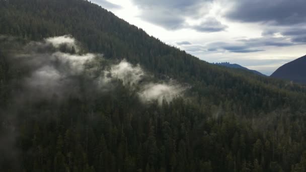 Канадський Гірський Пейзаж Вкритий Хмарами Повітряний Фон Природи Острів Ванкувер — стокове відео