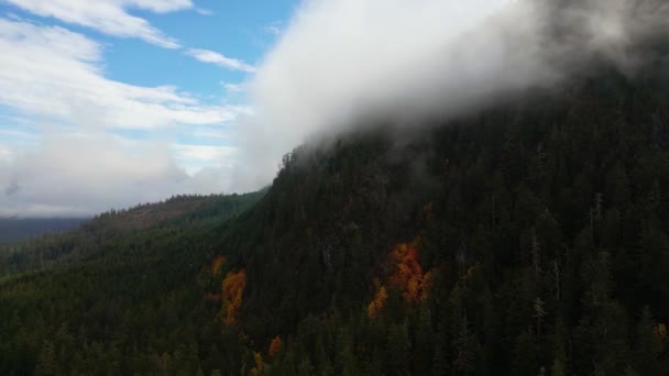 Paisaje Montañoso Canadiense Cubierto Nubes Antecedentes Naturaleza Aérea Vancouver Island — Vídeo de stock