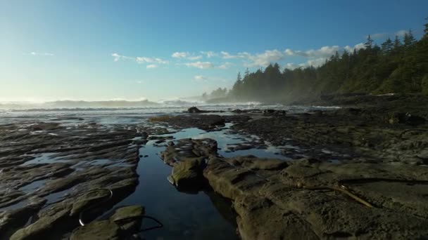 太平洋海岸的落基海岸 夕阳西下温哥华岛 不列颠哥伦比亚 加拿大 自然背景 4K电影制作 — 图库视频影像