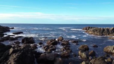 Pasifik Okyanusu kıyısındaki Rocky Shore. Güneşli bir gün. Vancouver Adası, BC, Kanada. Doğa Arkaplanı