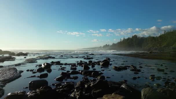 Pasifik Okyanusu Kıyısındaki Rocky Shore Güneşli Günbatımı Vancouver Adası Kanada — Stok video