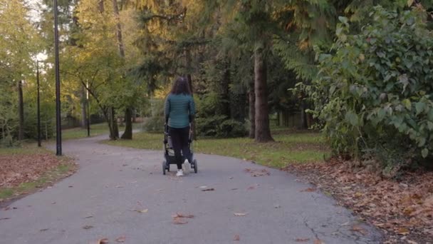 Caucasian Mother Walking Stroller Park Burnaby Vancouver Canada Slow Motion — Stock Video