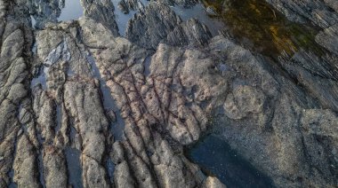 Pasifik Okyanusu kıyısındaki Rocky Shore. Güneşli Günbatımı. Botanik Plajı, Port Renfrew, Vancouver Adası, BC, Kanada. Doğa Arkaplanı