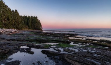 Pasifik Okyanusu kıyısındaki Rocky Shore. Güneşli Günbatımı. Botanik Plajı, Port Renfrew, Vancouver Adası, BC, Kanada. Doğa Arkaplanı