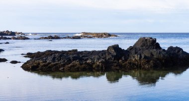 Pasifik Okyanusu kıyısındaki Rocky Shore. Ucluelet, Vancouver Adası, BC, Kanada. Doğa Arkaplanı.