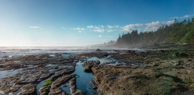 Pasifik Okyanusu kıyısındaki Rocky Shore. Güneşli Günbatımı. Vancouver Adası, BC, Kanada. Doğa Arkaplanı