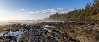 Pasifik Okyanusu kıyısındaki Rocky Shore. Güneşli Günbatımı. Botanik Plajı, Port Renfrew, Vancouver Adası, BC, Kanada. Doğa Arkaplanı