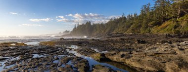 Pasifik Okyanusu kıyısındaki Rocky Shore. Güneşli Günbatımı. Botanik Plajı, Port Renfrew, Vancouver Adası, BC, Kanada. Doğa Arkaplanı