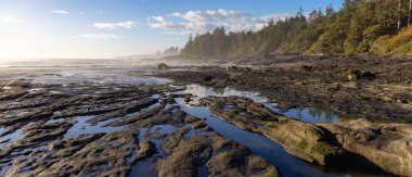 Pasifik Okyanusu kıyısındaki Rocky Shore. Güneşli Günbatımı. Botanik Plajı, Port Renfrew, Vancouver Adası, BC, Kanada. Doğa Arkaplanı