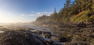 Pasifik Okyanusu kıyısındaki Rocky Shore. Güneşli Günbatımı. Botanik Plajı, Port Renfrew, Vancouver Adası, BC, Kanada. Doğa Arkaplanı