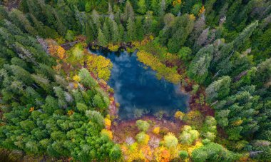 Kanada Manzarası 'ndaki canlı ağaçların yanındaki Mavi Göl. Hava Doğası Arkaplanı. Vancouver Adası, BC, Kanada.