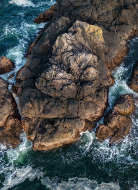 Pasifik Okyanusu kıyısındaki Rocky Shore. Güneşli Günbatımı. Vancouver Adası, BC, Kanada. Doğa Arkaplanı.