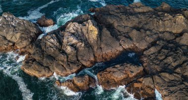 Pasifik Okyanusu kıyısındaki Rocky Shore. Güneşli Günbatımı. Vancouver Adası, BC, Kanada. Doğa Arkaplanı.