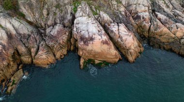 Pasifik Okyanusu kıyısındaki Rocky Shore. Vancouver Adası, BC, Kanada. Doğa Arkaplanı.