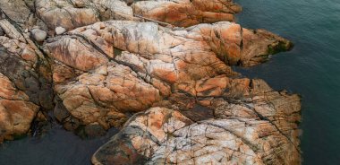 Pasifik Okyanusu kıyısındaki Rocky Shore. Vancouver Adası, BC, Kanada. Doğa Arkaplanı.