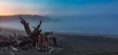 Pasifik Okyanusu 'nun batı kıyısındaki Sandy Plajı. Sisli Renkli Gün Doğumu. Washington, Birleşik Devletler. Doğa Arkaplanı.