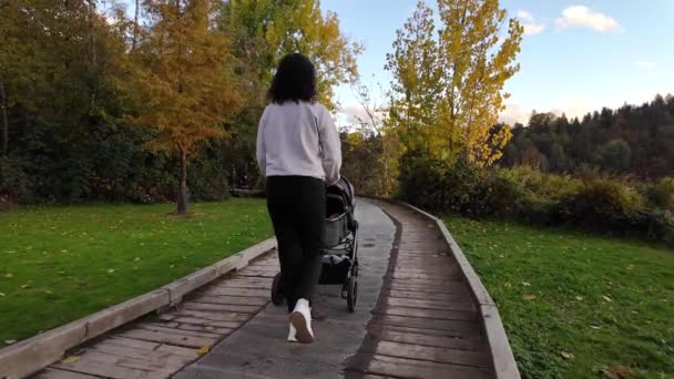 Madre Caminando Con Stroller Path Deer Lake Burnaby Canadá Temporada — Vídeo de stock