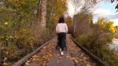 Anne, Deer Gölü 'nde bebek arabasıyla yürüyor. Burnaby, BC Kanada. Sonbahar sezonu. Güneşli Günbatımı. Ağır çekim. Yüksek kalite 4k görüntü