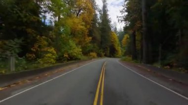 Ağaçlar ve Dağlarla çevrili Manzaralı Yol. Vancouver Adası, BC Kanada. Sonbahar sezonu. Yüksek kalite 4k görüntü