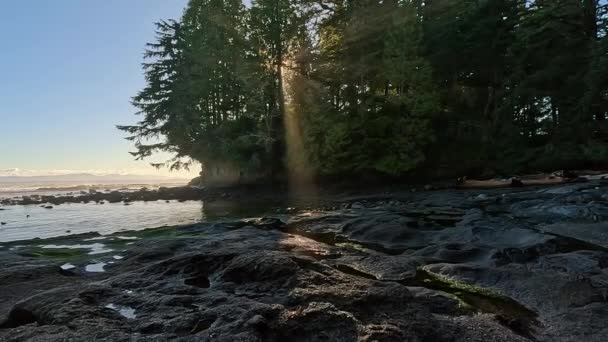 Felsige Küste Der Pazifikküste Sonniger Sonnenuntergang Vancouver Island Kanada Natur — Stockvideo