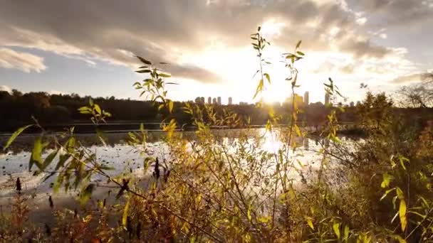 Árboles Vibrantes Luz Solar Deer Lake Burnaby Canadá Sunny Sunset — Vídeos de Stock