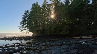 Pasifik Okyanusu kıyısındaki Rocky Shore. Güneşli Günbatımı. Vancouver Adası, BC, Kanada. Doğa Arkaplanı. Yüksek kalite 4k görüntü