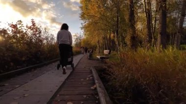 Anne, Deer Gölü 'nde bebek arabasıyla yürüyor. Burnaby, BC Kanada. Sonbahar sezonu. Güneşli Günbatımı. Ağır çekim. Yüksek kalite 4k görüntü