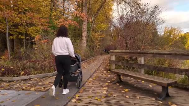 Mutter Geht Mit Kinderwagen Auf Weg Hirschsee Burnaby Kanada Herbstzeit — Stockvideo