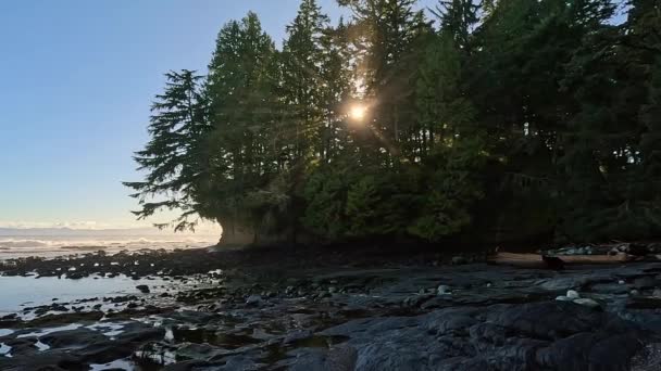 Rocky Shore Pobřeží Tichého Oceánu Sunny Sunset Ostrov Vancouver Kanada — Stock video