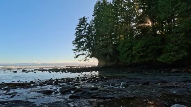 Felsige Küste Der Pazifikküste Sonniger Sonnenuntergang Vancouver Island Kanada Natur — Stockvideo