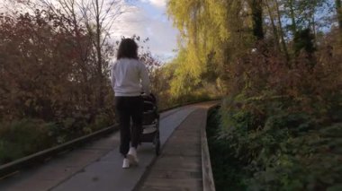 Anne, Deer Gölü 'nde bebek arabasıyla yürüyor. Burnaby, BC Kanada. Sonbahar sezonu. Güneşli Günbatımı. Ağır çekim. Yüksek kalite 4k görüntü