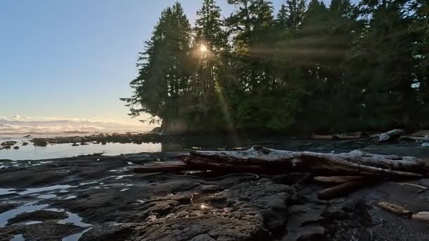 Rocky Shore Stilla Havskusten Solig Solnedgång Vancouver Island Kanada Naturbakgrund — Stockvideo