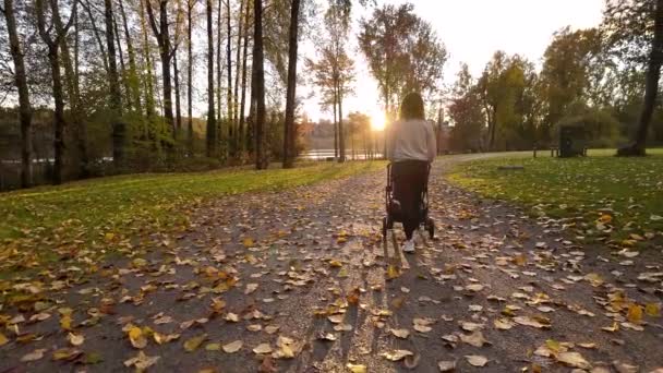 Anne Deer Gölü Nde Bebek Arabasıyla Yürüyor Burnaby Kanada Sonbahar — Stok video