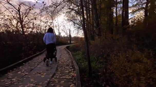 妈妈和斯特勒在鹿湖小径上散步 加拿大不列颠哥伦比亚省伯纳比 秋天季节 夕阳西下慢动作高质量的4K镜头 — 图库视频影像